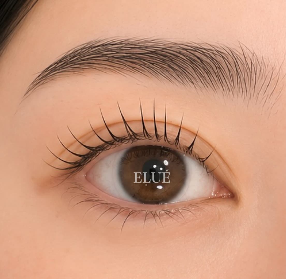 まつ毛×眉毛 セットメニュー|梶ヶ谷のまつ毛・眉毛サロン ELUÉ